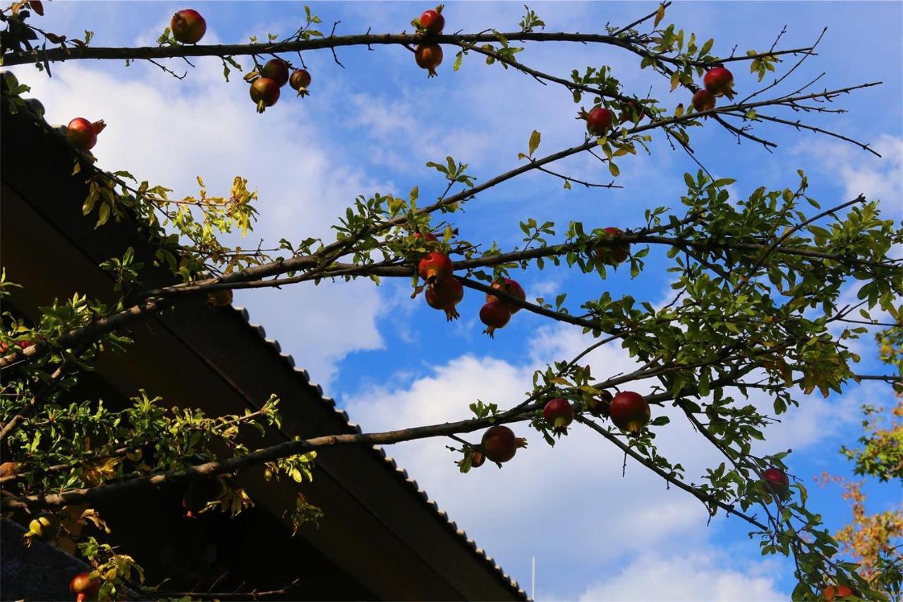 Howard Johnson Jinlin Plaza Lijiang Lijiang  Exterior foto
